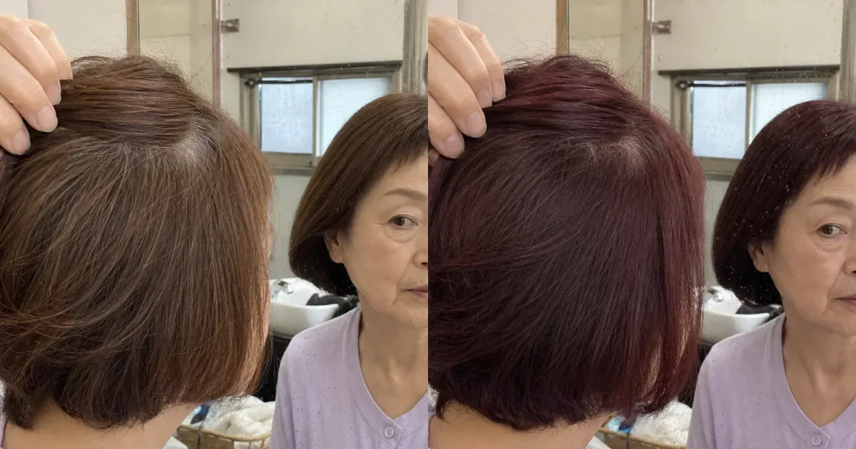 チェスナットブラウンとワインレッドの違いの編集参考写真